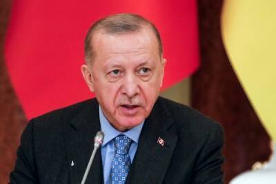 Владимир Путин - Реджеп Тайип Эрдоган - Эрдоган призвал НАТО занять чёткую позицию в ситуации между Россией и Украиной - govoritmoskva.ru - Россия - Украина - Турция