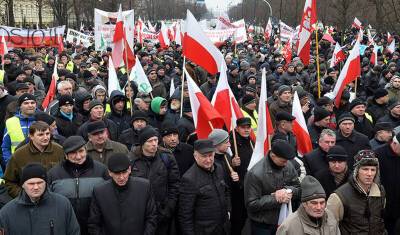 Матеуш Моравецкий - Протестующие фермеры парализовали движение в центре Варшавы - newizv.ru - Бельгия - Варшава - Брюссель