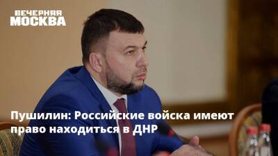 Владимир Путин - Денис Пушилин - Пушилин: Российские войска имеют право находиться в ДНР - vm.ru - Россия - Украина - ДНР - ЛНР