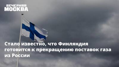 Александр Рар - Олаф Шольц - Стало известно, что Финляндия готовится к прекращению поставок газа из России - vm.ru - Москва - Россия - Германия - ДНР - Финляндия - ЛНР