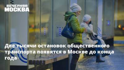 Сергей Собянин - Максим Ликсутов - Две тысячи остановок общественного транспорта появятся в Москве до конца года - vm.ru - Москва - Москва - Благоустройство