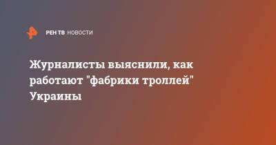 Журналисты выяснили, как работают "фабрики троллей" Украины - ren.tv - Россия - Украина - ДНР - ЛНР - Донецкая обл.