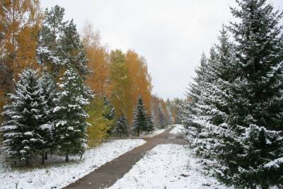 Пасмурная погода со снегом ожидается 24 февраля в Томске - tomsk.mk.ru - Томск
