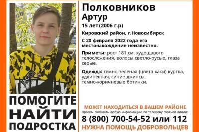 В Новосибирске пропал 15-летний подросток - novos.mk.ru - Новосибирск