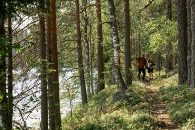 Кардиолог Гаглошвили рассказал о пользе пеших прогулок для профилактики тромбоза - abnews.ru - Норвегия