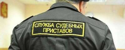 В Красноярске суд обязал женщину, содержащую более 10 собак, привести свою квартиру в порядок - runews24.ru - Россия - Красноярский край - Красноярск