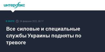 Владимир Зеленский - Владимир Путин - Все силовые и специальные службы Украины подняты по тревоге - interfax.ru - Москва - Россия - Украина - Снбо