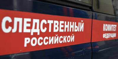 Светлана Петренко - СКР сообщил о расследовании более 400 уголовных дел по событиям в Донбассе - ruposters.ru - Россия - Украина - Донбасс
