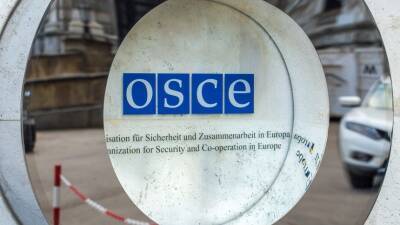 В ОБСЕ состоится спецзаседание из-за операции России в Донбассе - 5-tv.ru - Россия - Украина
