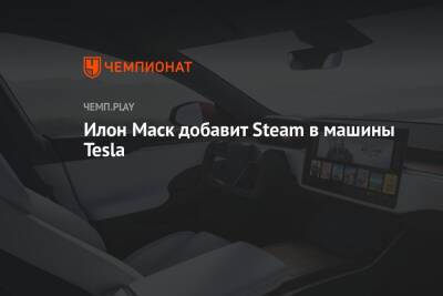 Илон Маск добавит Steam в машины Tesla - championat.com