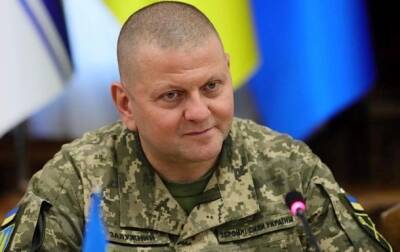 Валерий Залужный - Главнокомандующий ВСУ приказал наносить максимальные потери врагу - korrespondent.net - Россия - Украина - Крым - Краматорск