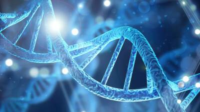 Генетики выделили самую древнюю человеческую ДНК в Африке - mir24.tv - Танзания - Замбия - Малави