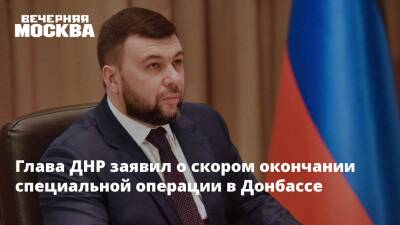 Владимир Путин - Денис Пушилин - Виктор Литовкин - Глава ДНР заявил о скором окончании специальной операции в Донбассе - vm.ru - Москва - Россия - Украина - ДНР - ЛНР - Донецкая обл.