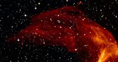 Вселенная - Больше Млечного Пути. Ученые обнаружили огромную ударную волну, которая идет через космос - focus.ua - Украина - Германия - Юар