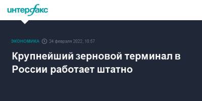 Крупнейший зерновой терминал в России работает штатно - interfax.ru - Москва - Россия - Новороссийск