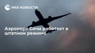 Владимир Путин - Аэропорт Сочи работает в штатном режиме, задержаны только пять рейсов - ria.ru - Россия - Украина - Анапа - Сочи - Краснодар - Сочи - Краснодар