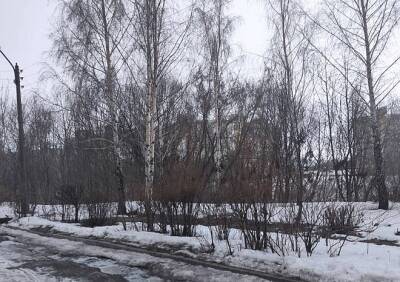 Рязанцы сообщили о потоке канализации на улице Новаторов, стекающем в ручей Бохот - ya62.ru - Рязань - Экология