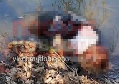 В Астраханской области на берегу Волги нашли тело 14-летней девочки - ya62.ru - Астраханская обл. - район Камызякский