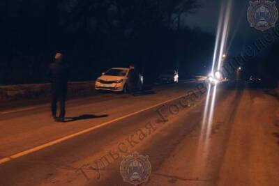 В Туле на Орловском шоссе автолюбитель сбил 20-летнего пешехода - tula.mk.ru - Тула