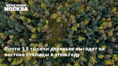 Почти 1,5 тысячи деревьев высадят на востоке столицы в этом году - vm.ru - Москва - район Ивановский - Москва