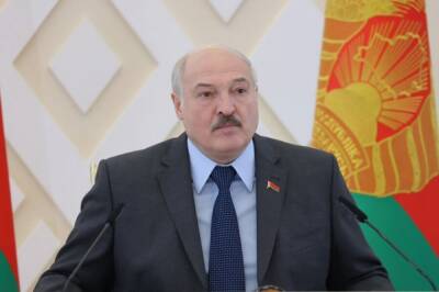 Владимир Путин - Александр Лукашенко - Лукашенко: Украину предупреждали о возможной спецоперации РФ - aif.ru - Москва - Россия - Украина - Белоруссия