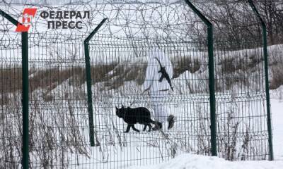 Петр Мюллер - Польша открывает границы для беженцев из Украины - fedpress.ru - Москва - Украина - Польша