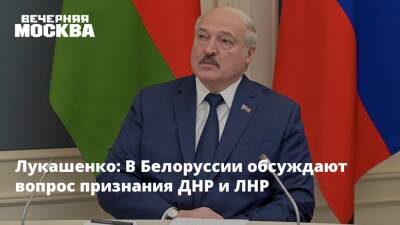 Владимир Путин - Александр Лукашенко - Виктор Литовкин - Лукашенко: В Белоруссии обсуждают вопрос признания ДНР и ЛНР - vm.ru - Москва - Россия - Украина - Белоруссия - ДНР - ЛНР - Донецкая обл.