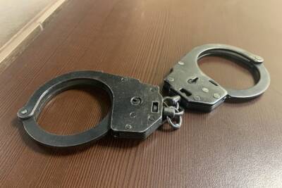 Полиция накрыла наркопритон на улице Зубковой в Рязани - rzn.mk.ru - Рязань