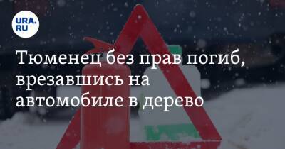 Тюменец без прав погиб, врезавшись на автомобиле в дерево - ura.news - Тюмень