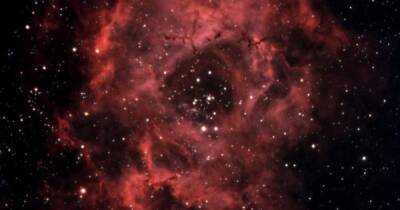 Астроном-любитель сделал невероятно красивое изображение туманности Розетка - focus.ua - Украина - Лос-Анджелес