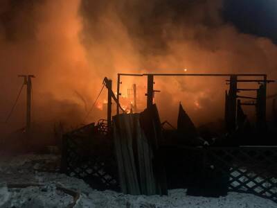 В Верхнем Уфалее пожарные сделали прорубь в озере, чтобы потушить большой пожар - znak.com - Россия - Челябинская обл.