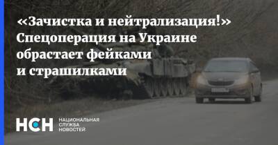 «Зачистка и нейтрализация!» Спецоперация на Украине обрастает фейками и страшилками - nsn.fm - Москва - Россия - Украина - Киев - Донбасс
