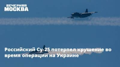 Владимир Путин - Виктор Литовкин - Игорь Конашенков - Российский Су-25 потерпел крушение во время операции на Украине - vm.ru - Россия - Украина - Минобороны