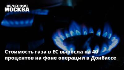 Владимир Путин - Юрий Рогулев - Стоимость газа в ЕС выросла на 40 процентов на фоне операции в Донбассе - vm.ru - Россия - США - Украина