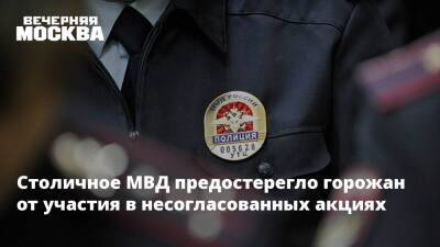 Столичное МВД предостерегло горожан от участия в несогласованных акциях - vm.ru - Москва - Россия
