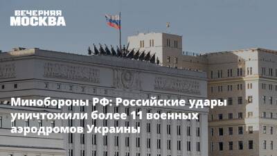 Сергей Шойгу - Владимир Путин - Виктор Литовкин - Игорь Конашенков - Минобороны РФ: Российские удары уничтожили более 11 военных аэродромов Украины - vm.ru - Россия - Украина