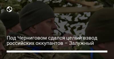 Валерий Залужный - Под Черниговом сдался целый взвод российских оккупантов – Залужный - liga.net - Украина - Кемеровская обл.