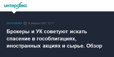 Брокеры и УК советуют искать спасение в гособлигациях, иностранных акциях и сырье. Обзор - interfax.ru - Москва - Россия