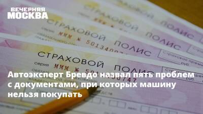 Автоэксперт Бревдо назвал пять проблем с документами, при которых машину нельзя покупать - vm.ru - Москва