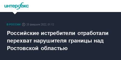 Российские истребители отработали перехват нарушителя границы над Ростовской областью - interfax.ru - Москва - Ростовская обл.