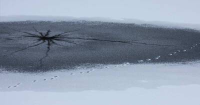 Более 50 сахалинских рыбаков уносит на льдине в море - ren.tv - Хабаровский край - Сахалин