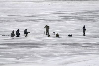 Любителей подледной рыбалки уносит в море на льдине на юге Сахалина - interfax-russia.ru - Южно-Сахалинск - Сахалин
