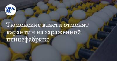 Тюменские власти отменят карантин на зараженной птицефабрике. Но ограничения сохранят - ura.news - Тюмень - Тюменская обл. - район Тюменский