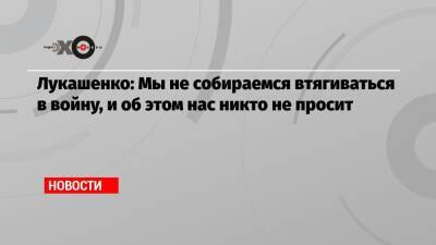 Лукашенко: Мы не собираемся втягиваться в войну, и об этом нас никто не просит - echo.msk.ru - Россия - США - Украина - Белоруссия - Ирак - Польша - Литва - Афганистан