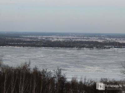 Пасмурная и прохладная погода ожидается в Нижнем Новгороде в выходные - vgoroden.ru - Нижний Новгород - Нижний Новгород