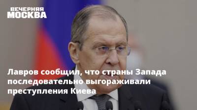 Владимир Путин - Сергей Лавров - Виктор Литовкин - Владислав Дейнего - Лавров сообщил, что страны Запада последовательно выгораживали преступления Киева - vm.ru - Россия - Украина - Киев - ДНР - ЛНР - Донецкая обл.