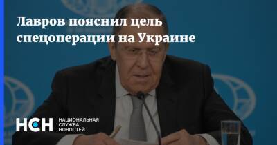 Владимир Зеленский - Сергей Лавров - Владислав Дейнего - Лавров пояснил цель спецоперации на Украине - nsn.fm - Россия - Украина - ДНР - ЛНР - Донбасс