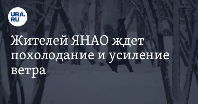 Жителей ЯНАО ждет похолодание и усиление ветра - ura.news - окр. Янао