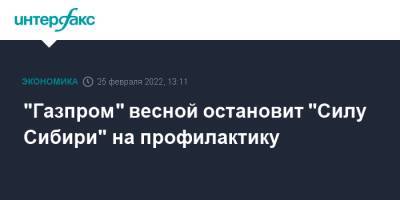 "Газпром" весной остановит "Силу Сибири" на профилактику - interfax.ru - Москва - Китай