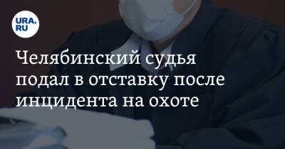 Челябинский судья подал в отставку после инцидента на охоте - ura.news - Россия - Челябинская обл. - Челябинск